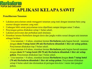 APLIKASI KELAPA SAWIT
Pemeliharaan Tanaman
• Lakukan penyulaman untuk mengganti tanaman yang mati dengan tanaman baru yang
seumur dengan tanaman yang mati.
• Cadangan bibit untuk penyulaman terus dipelihara sampai dengan umur 3 tahun.
• Penyiangan gulma dilakukan setiap 1 bulan sekali.
• Lakukan perawatan dan perbaikan parit drainase.
• Siramkan larutan Herbafarm dengan dosis dan jangka waktu sesuai dengan usia tanaman
sebagai berikut :
- Usia tanaman < 4 tahun, siramkan larutan Herbafarm pada bagian bawah tanaman
dengan dosis 5 tutup botol (50 ml) Herbafarm ditambah 1 liter air setiap pohon.
Penyiraman dilakukan tiap 3 bulan sekali.
- Usia tanaman 4-8 tahun, siramkan larutan Herbafarm pada bagian bawah tanaman
dengan dosis 5-7 tutup botol (50-70 ml) Herbafarm ditambah 1 liter air setiap
pohon. Penyiraman dilakukan tiap 3 bulan sekali.
- Usia tanaman > 8 tahun, siramkan larutan Herbafarm dengan dosis 7 tutup botol
(70 ml) Herbafarm ditambah 1 liter air setiap pohon. Penyiraman dilakukan
setiap 6 bulan sekali dan disiramkan di peringan kira-kira 1 meter dari pangkal
pohon.
 