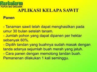APLIKASI KELAPA SAWIT
Panen
- Tanaman sawit telah dapat menghasilkan pada
umur 30 bulan setelah tanam.
- Jumlah pohon yang dapat dipanen per hektar
sebanyak 60%.
- Dipilih tandan yang buahnya sudah masak dengan
tanda adanya sejumlah buah merah yang jatuh.
- Cara panen dengan memotong tandan buah.
Pemanenan dilakukan 1 kali seminggu.
 