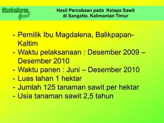 Hasil Percobaan pada Kelapa Sawit
di Sangatta, Kalimantan Timur
- Pemilik Ibu Magdalena, Balikpapan-
Kaltim
- Waktu pelaksanaan : Desember 2009 –
Desember 2010
- Waktu panen : Juni – Desember 2010
- Luas lahan 1 hektar
- Jumlah 125 tanaman sawit per hektar
- Usia tanaman sawit 2,5 tahun
 