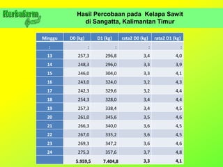 Hasil Percobaan pada Kelapa Sawit
di Sangatta, Kalimantan Timur
Minggu D0 (kg) D1 (kg) rata2 D0 (kg) rata2 D1 (kg)
: : : : :
13 257,3 296,8 3,4 4,0
14 248,3 296,0 3,3 3,9
15 246,0 304,0 3,3 4,1
16 243,0 324,0 3,2 4,3
17 242,3 329,6 3,2 4,4
18 254,3 328,0 3,4 4,4
19 257,3 338,4 3,4 4,5
20 261,0 345,6 3,5 4,6
21 266,3 340,0 3,6 4,5
22 267,0 335,2 3,6 4,5
23 269,3 347,2 3,6 4,6
24 275,3 357,6 3,7 4,8
5.959,5 7.404,8 3,3 4,1
 