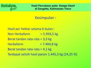 Hasil Percobaan pada Kelapa Sawit
di Sangatta, Kalimantan Timur
Kesimpulan :
Hasil per hektar selama 6 bulan :
Non Herbafarm = 5.959,5 kg
Berat tandan rata-rata = 3,3 kg
Herbafarm = 7.404,8 kg
Berat tandan rata-rata = 4,1 kg
Terdapat selisih hasil panen 1.445,3 kg (24,25 %)
 
