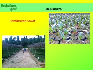 Dokumentasi
Pembibitan Sawit
 