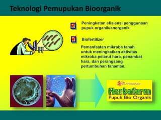 Teknologi Pemupukan Bioorganik
Peningkatan efisiensi penggunaan
pupuk organik/anorganik.
Biofertilizer
Pemanfaatan mikroba tanah
untuk meningkatkan aktivitas
mikroba pelarut hara, penambat
hara, dan perangsang
pertumbuhan tanaman.
 