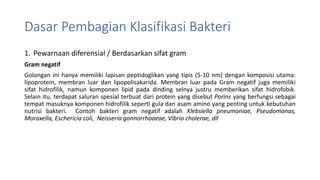 Dasar Pembagian Klasifikasi Bakteri
1. Pewarnaan diferensial / Berdasarkan sifat gram
Gram negatif
Golongan ini hanya memiliki lapisan peptidoglikan yang tipis (5-10 nm) dengan komposisi utama:
lipoprotein, membran luar dan lipopolisakarida. Membran luar pada Gram negatif juga memiliki
sifat hidrofilik, namun komponen lipid pada dinding selnya justru memberikan sifat hidrofobik.
Selain itu, terdapat saluran spesial terbuat dari protein yang disebut Porins yang berfungsi sebagai
tempat masuknya komponen hidrofilik seperti gula dan asam amino yang penting untuk kebutuhan
nutrisi bakteri. Contoh bakteri gram negatif adalah Klebsiella pneumoniae, Pseudomonas,
Moraxella, Eschericia coli, Neisseria gonnorrhoaeae, Vibrio cholerae, dll
 
