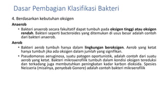 4. Berdasarkan kebutuhan oksigen
Anaerob
• Bakteri anaerob secara fakultatif dapat tumbuh pada oksigen tinggi atau oksigen
rendah. Bakteri seperti bacteroides yang ditemukan di usus besar adalah contoh
dari bakteri anaerob.
Aerob
• Bakteri aerob tumbuh hanya dalam lingkungan beroksigen. Aerob yang ketat
hanya tumbuh jika ada oksigen dalam jumlah yang signifikan.
• Pseudomonas aeruginosa, suatu patogen oportunistik, adalah contoh dari suatu
aerob yang ketat. Bakteri mikroaerofilik tumbuh dalam kondisi oksigen tereduksi
dan terkadang juga membutuhkan peningkatan kadar karbon dioksida. Spesies
Neisseria (misalnya, penyebab Gonore) adalah contoh bakteri mikraerofilik
Dasar Pembagian Klasifikasi Bakteri
 