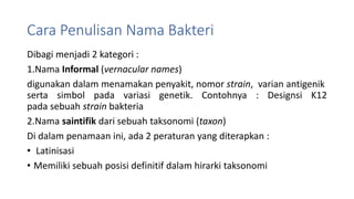 Cara Penulisan Nama Bakteri
Dibagi menjadi 2 kategori :
1.Nama Informal (vernacular names)
digunakan dalam menamakan penyakit, nomor strain, varian antigenik
serta simbol pada variasi genetik. Contohnya : Designsi K12
pada sebuah strain bakteria
2.Nama saintifik dari sebuah taksonomi (taxon)
Di dalam penamaan ini, ada 2 peraturan yang diterapkan :
• Latinisasi
• Memiliki sebuah posisi definitif dalam hirarki taksonomi
 