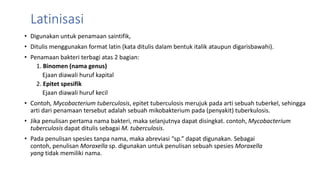 Latinisasi
• Digunakan untuk penamaan saintifik,
• Ditulis menggunakan format latin (kata ditulis dalam bentuk italik ataupun digarisbawahi).
• Penamaan bakteri terbagi atas 2 bagian:
1. Binomen (nama genus)
Ejaan diawali huruf kapital
2. Epitet spesifik
Ejaan diawali huruf kecil
• Contoh, Mycobacterium tuberculosis, epitet tuberculosis merujuk pada arti sebuah tuberkel, sehingga
arti dari penamaan tersebut adalah sebuah mikobakterium pada (penyakit) tuberkulosis.
• Jika penulisan pertama nama bakteri, maka selanjutnya dapat disingkat. contoh, Mycobacterium
tuberculosis dapat ditulis sebagai M. tuberculosis.
• Pada penulisan spesies tanpa nama, maka abreviasi “sp.” dapat digunakan. Sebagai
contoh, penulisan Moraxella sp. digunakan untuk penulisan sebuah spesies Moraxella
yang tidak memiliki nama.
 
