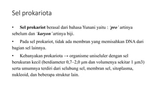Sel prokariota
• Sel prokariot berasal dari bahasa Yunani yaitu : ‘pro’ artinya
sebelum dan ‘karyon’artinya biji.
• Pada sel prokariot, tidak ada membran yang memisahkan DNA dari
bagian sel lainnya.
• Kebanyakan prokariota → organisme uniseluler dengan sel
berukuran kecil (berdiameter 0,7–2,0 µm dan volumenya sekitar 1 µm3)
serta umumnya terdiri dari selubung sel, membran sel, sitoplasma,
nukleoid, dan beberapa struktur lain.
 
