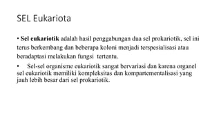 SEL Eukariota
• Sel eukariotik adalah hasil penggabungan dua sel prokariotik, sel ini
terus berkembang dan beberapa koloni menjadi terspesialisasi atau
beradaptasi melakukan fungsi tertentu.
• Sel-sel organisme eukariotik sangat bervariasi dan karena organel
sel eukariotik memiliki kompleksitas dan kompartementalisasi yang
jauh lebih besar dari sel prokariotik.
 