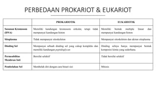 PERBEDAAN PROKARIOT & EUKARIOT
PROKARIOTIK EUKARIOTIK
Susunan Kromosom
(DNA)
Memiliki kandungan kromosom sirkular, tetapi tidak
mempunyai kandungan histon
Memiliki bentuk multiple linear dan
mempunyai kandungan histon
Sitoplasma Tidak mempunyai sitoskeleton Mempunyai sitoskeleton dan akiran sitoplasma
Dinding Sel Mempunyai sebuah dinding sel yang cukup kompleks dan
memiliki kandungan peptidoglycan
Dinding selnya hanya mempunyai bentuk
komposisi kimia yang sederhana.
Permeabilitas
Membran Inti
Bersifat selektif Tidak bersifat selektif
Pembelahan Sel Membelah diri dengan cara binari sisi Mitosis
 