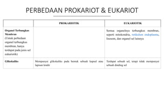 PERBEDAAN PROKARIOT & EUKARIOT
PROKARIOTIK EUKARIOTIK
Organel Terbungkus
Membran
(Untuk perbedaan
organel terbungkus
membran, hanya
terdapat pada jenis sel
eukariotik)
Semua organelnya terbungkus membran,
seperti mitokondria, retikulum endoplasma,
lisosom, dan organel sel lainnya
Glikokaliks Mempunyai glikokaliks pada bentuk sebuah kapsul atau
lapisan lendir
Terdapat sebuah sel, tetapi tidak mempunyai
sebuah dinding sel
 