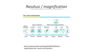 Resolusi / magnification
https://www.westlab.com/blog/2018/01/09/what-
magnification-do-i-need-to-see-bacteria
 