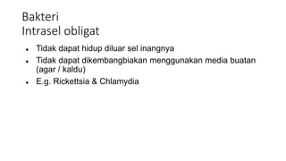 Bakteri
Intrasel obligat
● Tidak dapat hidup diluar sel inangnya
● Tidak dapat dikembangbiakan menggunakan media buatan
(agar / kaldu)
● E.g. Rickettsia & Chlamydia
 