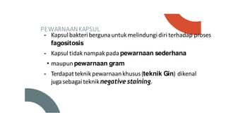 PEWARNAANKAPSUL
- Kapsul bakteribergunauntukmelindungi diri terhadap proses
fagositosis
- Kapsul tidaknampakpadapewarnaan sederhana
• maupunpewarnaan gram
- Terdapatteknikpewarnaankhusus(teknik Gin) dikenal
jugasebagai tekniknegative staining.
 