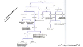 Mims’ medical microbiology, 5th ed.
 
