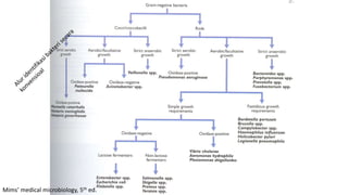 Mims’ medical microbiology, 5th ed.
 