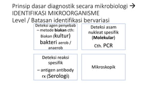 Prinsip dasar diagnostik secara mikrobiologi 
IDENTIFIKASI MIKROORGANISME
Level / Batasan identifikasi bervariasi
Deteksi agen penyebab
– metode biakan cth:
Biakan (kultur)
bakteri aerob /
anaerob
Deteksi asam
nukleat spesifik
(Molekular)
Cth. PCR
Deteksi reaksi
spesifik
– antigen antibody
rx (Serologi)
Mikroskopik
 