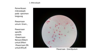 Pewarnaan Gram,
Sputum
Pemeriksaan
mikroskopik
pada spesimen
langsung
Pewarnaan
umum: Gram ,
Pewarnaan
spesifik
contoh:
-Pewarnaan
Neisser/Albert
untuk Difteri
-Pewarnaan ZN:
untuk BTA,dll
1. Mikroskopik
 