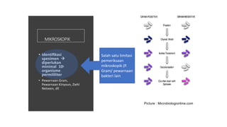 MIKROSKOPIK
• Identiﬁkasi
spesimen 
diperlukan
minimal 105
organisme
permililiter
• Pewarnaan Gram,
Pewarnaan Kinyoun, Ziehl
Nelseen, dll
Picture : Microbiologionline.com
Salah satu limitasi
pemeriksaan
mikroskopik (P.
Gram/ pewarnaan
bakteri lain
 