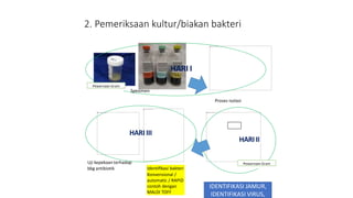 2. Pemeriksaan kultur/biakan bakteri
Proses isolasi
HARI I
HARI II
Identiﬁkasi bakteri
Konvensional /
automatic / RAPID
contoh dengan
MALDI TOFF
Pewarnaan Gram
Pewarnaan Gram
Uji kepekaan terhadap
bbg antibiotik
HARI III
Spesimen
IDENTIFIKASI BAKTERI,
IDENTIFIKASI JAMUR,
IDENTIFIKASI VIRUS,
 