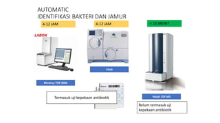 AUTOMATIC
IDENTIFIKASI BAKTERI DAN JAMUR
Mindray TDR 300b
Vitek
Maldi TOF MS
4-12 JAM
4-12 JAM < 15 MENIT
Termasuk uji kepekaan antibiotik
Belum termasuk uji
kepekaan antibiotik
 