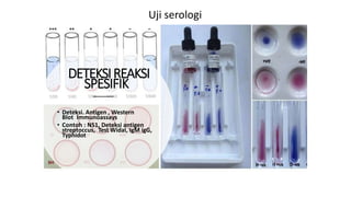 DETEKSIREAKSI
SPESIFIK
• Deteksi. Antigen , Western
Blot Immunoassays
• Contoh : NS1, Deteksi antigen
streptoccus, Test Widal, IgM igG,
Typhidot
Uji serologi
 