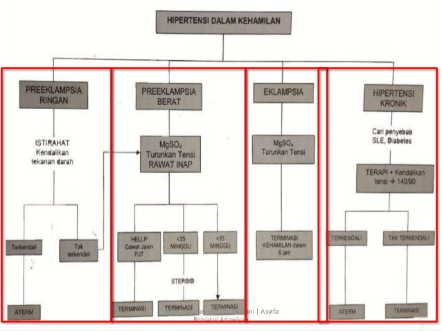 Hipertensi Dalam Kehamilan