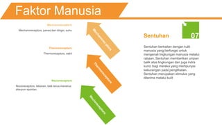Faktor Manusia
Nocioreceptors
Nocioreceptors, tekanan, baik terus-menerus
ataupun spontan.
Sentuhan berkaitan dengan kulit
manusia yang berfungsi untuk
mengenali lingkungan manusia melalui
rabaan. Sentuhan memberikan umpan
balik atas lingkungan dan juga indra
kunci bagi mereka yang mempunyai
kekurangan pada penglihatan.
Sentuhan merupakan stimulus yang
diterima melalui kulit
Mechanoreceptors
Mechanoreceptors, panas dan dingin, suhu
Thermoreceptors
Thermoreceptors, sakit
Sentuhan 07
 