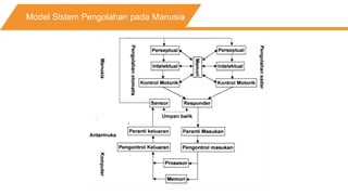 Model Sistem Pengolahan pada Manusia
 