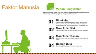 Faktor Manusia
Daerah dimana kedua mata mampu melihat sebuah obyek
dalam keadaan yang sama. Pada daerah ini, mata dapat
bergerak kekiri dan kekanan sejauh sudut 62o sampai 74o.
Binokuler
01
Daerah dimana mata kiri dapat bergerak ke sudut paling kiri.
Monokuler Kiri
02
Daerah dimana mata kanan dapat bergerak ke sudut paling
kanan.
Monokuler Kanan
03
Daerah yang tidak dapat dilihat oleh kedua mata.
Daerah Buta
04
Medan penglihatan adalah sudut yang dibentuk ketika mata bergerak kekiri terjauh dan
kekanan terjauh. Medan penglihatan dibagi empat daerah yaitu :
Medan Penglihatan05
 