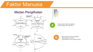 Faktor Manusia
Menunjukkan medan penglihatan
ketika kepalan dan mata diam.
Menunjukkan medan penglihatan
ketika kepala dan mata
diperbolehkan untuk bergerak bebas.
a
b
 