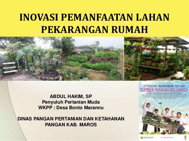 Materi Pelatihan Hidroponik Power Point Apa Itu Hidroponik