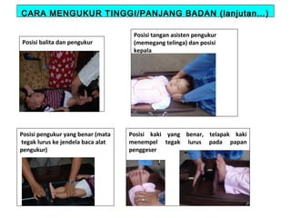 CARA MENGUKUR TINGGI/PANJANG BADAN (lanjutan…)
Posisi balita dan pengukur

Posisi pengukur yang benar (mata
tegak lurus ke jendela baca alat
pengukur)

Posisi tangan asisten pengukur
(memegang telinga) dan posisi
kepala

Posisi kaki yang benar, telapak kaki
menempel tegak lurus pada papan
penggeser

 