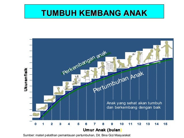 Materi inti i jan 2013