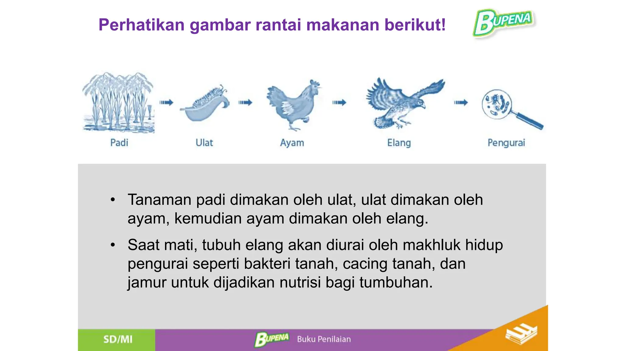 Ulat Rantai MATERI IPA EKOSISTEM KELAS 5 SEKOLAH DASAR.pptx