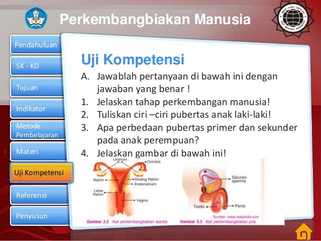 Materi ipa kelas vi perkembangbiakan manusia 