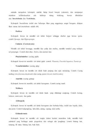 animalia merupakan kelompok makluk hidup bersel banyak (eukariot), dan mempunyai
membran sel.Berdasarkan ada tidaknya tulang belakang, hewan dibedakan
atas Invertebrata dan Vertebrata.
Kelompok Invertebrata terdiri atas beberapa filum yang anggotanya sangat beragam. delapan
filum utama dari invertebrata adalah sbb,
· Porifera
Kelompok hewan ini memiliki ciri tubuh berpori sehingga disebut juga hewan spons.
contoh Spongia dan Hippospongia
· Cnidaria (Coelenterata)
Memilki ciri tubuh berongga, memiliki fase polip dan medisa, memiliki tentakel yang terdapat
sel penyengat. Contoh ubur-ubur, Hydra, dan anemon laut.
· Platyhelminthes (cacing pipih)
Kelompok hewan ini memiliki ciri tubuh pipih. contoh: Planaria, Fasciola hepatica, Taenia sp.
· Nemathelminthes (cacing gilig)
Kelompok hewan ini memiliki ciri tubuh bulat panjang dan ujun meruncing. Contoh: Cacing
tambag (Ancylostoma duodenale) dan cacing perut (Ascaris lumbricoides)
· Annelida (cacing gelang)
Kelompok hewan ini memiliki ciri tubuh bersegmen. Contoh cacing tanah
· Mollusca
Kelompok hewan ini memiliki ciri tubuh lunak yang dilindungi cangkang. Contoh kerang,
bekicot. cumi-cumi, dan gurita.
· Arthropoda
Kelompok hewan ini memiliki ciri tubuh bersegmen dan berbuku-buku, terdiri atas kepala, dada,
dan perut. Contoh kalajengking, laba-laba, udang, capung, kaki seribu.
· Echinodermata
Kelompok hewan ini memiliki ciri rangka dalam berduri menembus kulit, memiliki kaki
ambukral yang berfungsi untuk pergerakan dan sebagai alat penghisap. contoh bintang laut,
teripang, lili nlaut, bintang laut, bulu babi.
 