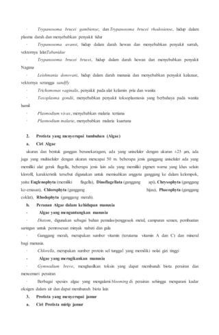 · Trypanosoma brucei gambiense, dan Trypanosoma brucei rhodosiense, hidup dalam
plasma darah dan menyebabkan penyakit tidur
· Trypanosoma avansi, hidup dalam darah hewan dan menyebabkan penyakit surrah,
vektornya lalatTabanidae
· Trypanosoma brucei brucei, hidup dalam darah hewan dan menyebabkan penyakit
Nagana
· Leishmania donovani, hidup dalam darah manusia dan menyebabkan penyakit kalazaar,
vektornya serangga sandfly
· Trichomonas vaginalis, penyakit pada alat kelamin pria dan wanita
· Toxoplasma gondii, menyebabkan penyakit toksoplasmosis yang berbahaya pada wanita
hamil
· Plasmodium vivax, menyebabkan malaria tertiana
· Plasmodium malarie, menyebabkan malaria kuartana
2. Protista yang menyerupai tumbuhan (Algae)
a. Ciri Algae
ukuran dan bentuk ganggan beranekaragam, ada yang uniseluler dengan ukuran ±25 µm, ada
juga yang multiseluler dengan ukuran mencapai 50 m. beberapa jenis ganggang uniseluler ada yang
memiliki alat gerak flagella, beberapa jenis lain ada yang memiliki pigmen warna yang khas selain
klorofil, karakteristik tersebut digunakan untuk memisahkan anggota ganggang ke dalam kelompok,
yaitu: Euglenophyta (memiliki flagella), Dinoflagellata (ganggang api), Chrysophyta (ganggang
ke-emasan), Chlorophyta (ganggang hijau), Phaeophyta (ganggang
coklat), Rhodophyta (ganggang merah).
b. Peranan Algae dalam kehidupan manusia
- Algae yang menguntungkan manusia
· Diatom, digunakan sebagai bahan pemulas/penggosok metal, campuran semen, pembuatan
saringan untuk pemrosesan minyak nabati dan gula
· Ganggang merah, merupakan sumber vitamin (terutama vitamin A dan C) dan mineral
bagi manusia.
· Chlorella, merupakan sumber protein sel tunggal yang memiliki nolai gizi tinggi
- Algae yang merugikankan manusia
· Gymnodium breve, menghasilkan toksin yang dapat membunuh biota perairan dan
mencemari perairan
· Berbagai spesies algae yang mengalami blooming di perairan sehingga mengurani kadar
oksigen dalam air dan dapat membunuh biota lain
3. Protista yang menyerupai jamur
a. Ciri Protista mirip jamur
 