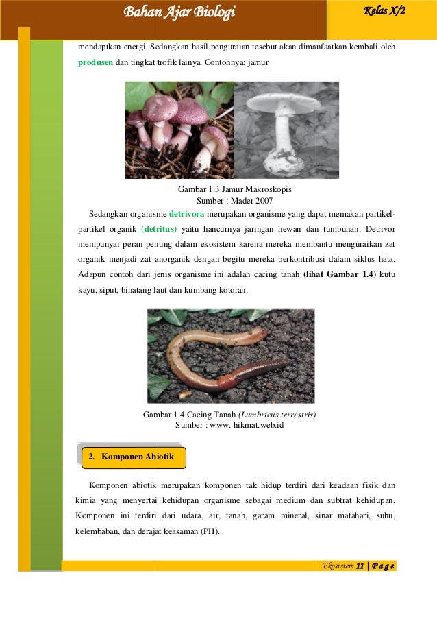 Materi kelas x Modul Pembelajaran Ekosistem