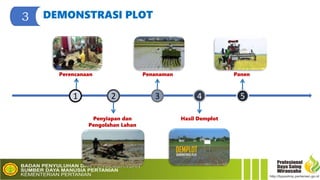 SISTEM PENYULUHAN PERTANIAN DI LOKASI FOOD ESTATE | PPTX