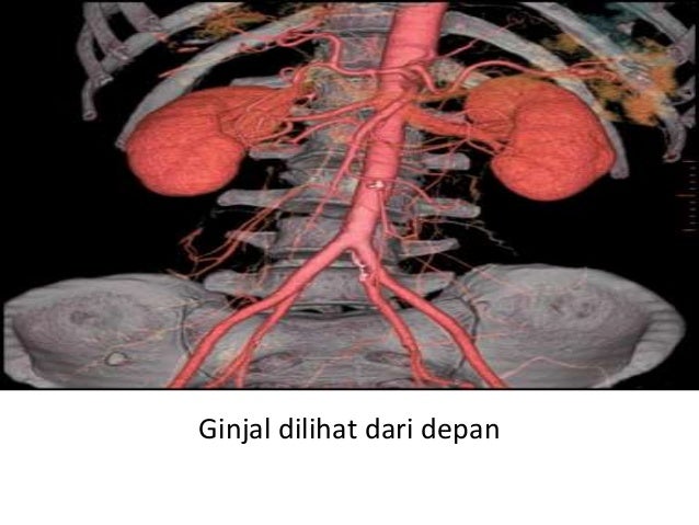 kebutuhan dasar manusia kebutuhan dasar manusia