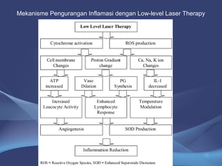 Mekanisme Pengurangan Inflamasi dengan Low-level Laser Therapy 
12 
 