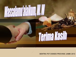 SENTRA P3T DISKES PROVINSI JAMBI 2013
 