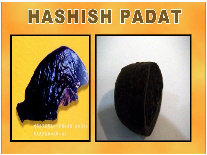 Unduh 83 Koleksi Gambar Hashish Narkoba Terbaik Gratis HD