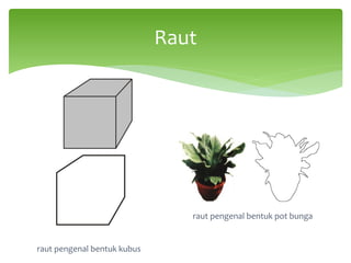 raut pengenal bentuk kubus
raut pengenal bentuk pot bunga
Raut
 
