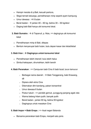 Hampir merata di p.Bali, kecuali pantura,
     Sbgai ternak keluarga, pemeliharaan mirip seperti ayam kampung
     Umur dewasa :  6 bulan
     Berat badan :  jantan 40 – 60 kg, betina 30 – 50 kg/ekor
     Daging babi Bali hanya utk konsumsi lokal.


2. Babi Sumatra :  di Tapanuli, p. Nias, => dagingnya utk konsumsi
     lokal

     Pemeliharaan mirip di Bali, dilepas
     Bentuk menyerupai babi hutan, bulu depan kasar dan lebat/tebal


3. Babi Irian :  Dagingnya untuk konsumsi lokal

     Pemeliharaan lebih intensif, bulu lebih halus
     Simbul kekayaan, dirumahkan, lebih bersih


4. Babi Peranakan : => Campuran babi Cina X babi local, turun temurun

        o    Berbagai nama daerah :  Babi Tanggerang, babi Krawang,
             dll
        o    Dipiara oleh etnis Cina
        o    Diternakan dlm kandang, pakan konsentrat
        o    Umur dewasa 6 bulan
        o    Postur tubuh : => pendek gemuk, punggung panjang agak rata
        o    Warna belang hitam putih, banyak putih
        o    Berat badan ; jantan 60 kg, betina 50 kg/ekor
        o    Dagingnya untuk masakan Cina


5. Babi Impor = Babi Eropa : => Asal negeri Belanda

     Bersama peranakan babi Eropa, menjadi satu jenis
 