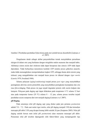 Gambar 2 Perubahan-perubahan fisiko-kimia pada otot setelah hewan disembelih (Lukman et
                                      al. 2007)

       Pengeluaran darah sebagai akibat penyembelihan ternak menyebabkan persediaan
oksigen di dalam otot yang berikatan dengan mioglobin makin menurun dan menjadi habis.
Akibatnya sistem enzim dari sitokrom tidak dapat beroperasi dan sintesis ATP tidak dapat
diproduksi. Tidak berhasilnya mensintesis kembali ATP melalui proses glikolisis anaerob,
maka tidak memungkinkan mempertahankan tingkat ATP, sehingga ikatan aktin miosin yang
terkunci yang mengakibatkan otot menjadi keras proses ini dikenal dengan rigor mortis
(Lawrie 1979; Swatland 1984).
       Selama pelayuan (aging/conditioning) terjadi proses post rigor yang menyebabkan
peningkatan aktivitas enzim proteolitik yang menyebabkan peningkatan keempukan dan cira
rasa (flavor)daging. Pada proses ini juga terjadi degradasi protein oleh enzim kalpain dan
katepsin. Pelayuan pada daging sapi dapat dilakukan pada temperatur 4 ºC selama 12 hari
atau pada temperatur kamar (29 ºC) selama 8 – 12 jam, selama proses tersebut terjadi
perubahan secara sempurna dari otot menjadi daging (Lukman et al. 2007).
pH Daging
       Pada umumnya nilai pH daging sapi yang diukur pada jam pertama postmortem
adalah 7.0 – 7.2. Pada saat mulai rigor mortis, nilai pH daging menjadi 5.90 dan kemudian
mencapai pH akhir 5.50 yang dicapai kurang lebih setelah 24 jam (Soeparno 2005). Nilai pH
daging setelah hewan mati (nilai pH postmortem) akan menurun mencapai pH akhir.
Penurunan nilai pH tersebut dipengaruhi oleh faktor-faktor yang mempengaruhi laju
 