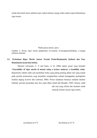 ternak dan kondi sitern sebelum mati; makin terkuras energy maka makin cepat terbentuknya
      rigor mortis.




                                            Waktu pasca merta ( jam )
      Gambar 2. Proses rigor mortis padakelinci (a=normal, b=kecapaian/kelelahan, c=sangat
      terkuras stamina)


3.2   Perbedaan Rigor Mortis Antara Ternak Psedo-Ruminansia (kelinci) dan Non-
      Ruminansia (ayam dan bebek)
             Menurut (Alvarado, C. Z and Sams, A. R, 2000) dalam jurnal yang berjudul
      :Traceability of rigor mortis of muscle using a texture analyzer: a feasibility study.
      Rigormortis adalah salah satu perubahan fisika yang paling penting dalam otot yang terjadi
      pada periode postmortem yang kemudian menghasilkan sebuah ketangguhan peningkatan
      kualitas daging (Lawrie dan Ledward, 2006). Proses kekakuan biasanya meliputi duafase
      berbeda: periode penundaan dan fase cepat (Bate Smith dan Bendall, 1949). Namun, tidak
                                                            ada cara yang efisien dan otomatis untuk
                                                            melacak seluruh proses rigor mortis.




                      (a) chicken at 4 °C                           (b) chicken at 15 °C
 