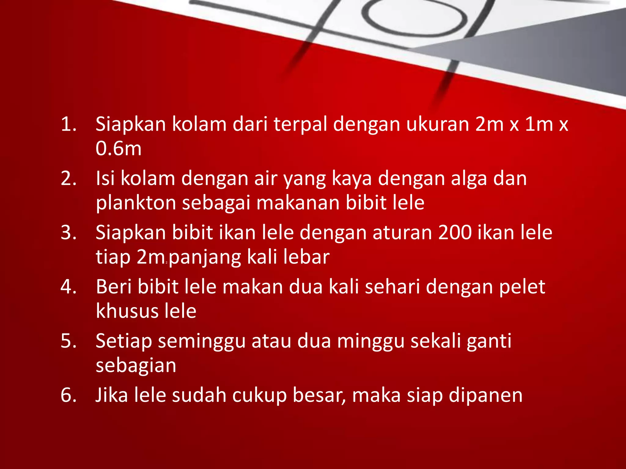 1. Siapkan kolam dari terpal dengan ukuran 2m x 1m x
0.6m
2. Isi kolam dengan air yang kaya dengan alga dan
plankton sebagai makanan bibit lele
3. Siapkan bibit ikan lele dengan aturan 200 ikan lele
tiap 2m2 panjang kali lebar
4. Beri bibit lele makan dua kali sehari dengan pelet
khusus lele
5. Setiap seminggu atau dua minggu sekali ganti
sebagian
6. Jika lele sudah cukup besar, maka siap dipanen
 