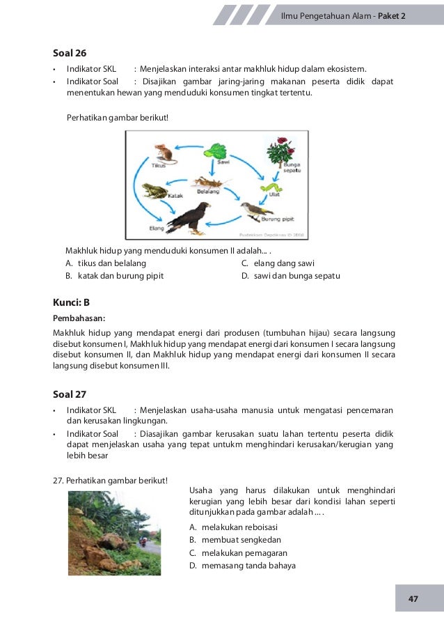Soal essay dan jawaban interaksi makhluk hidup dengan lingkungan 06 picture